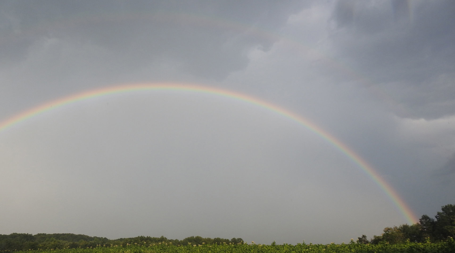 Rainbow